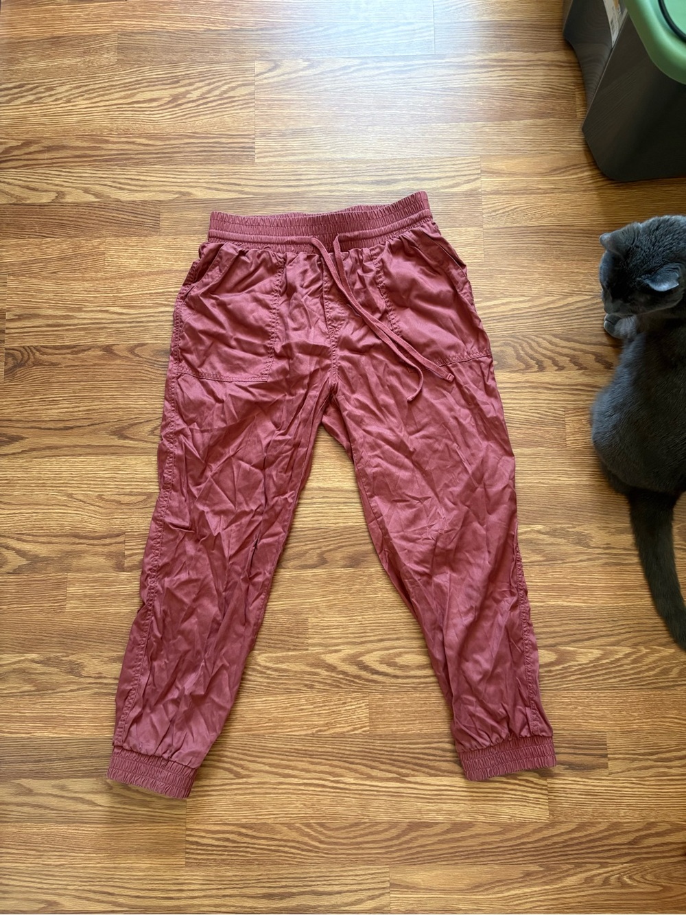 a new day maroon Drawstring Jogger Pants